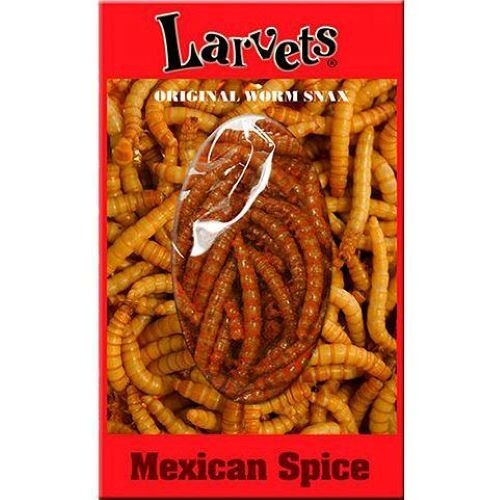 SUPERWORMS larvets Mexican spice flavor edible insects for human consumption