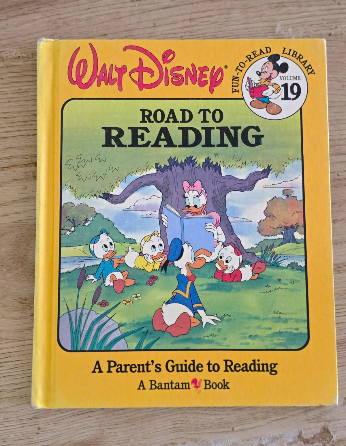 Walt Disney Road to Reading Fun-to-Read Library Vol 19 Donald Duck