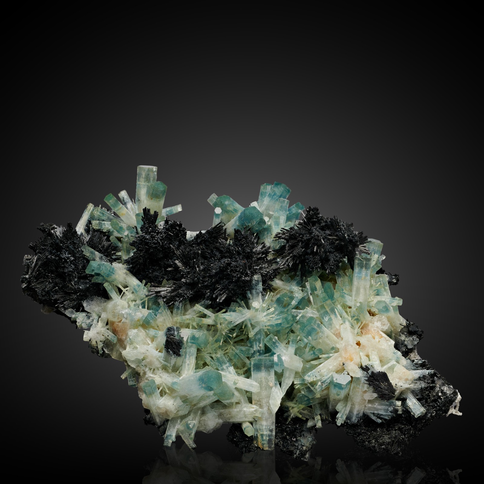 INSANE Aquamarine & Schorl From Erongo, Namibia - Fine Mineral Specimen