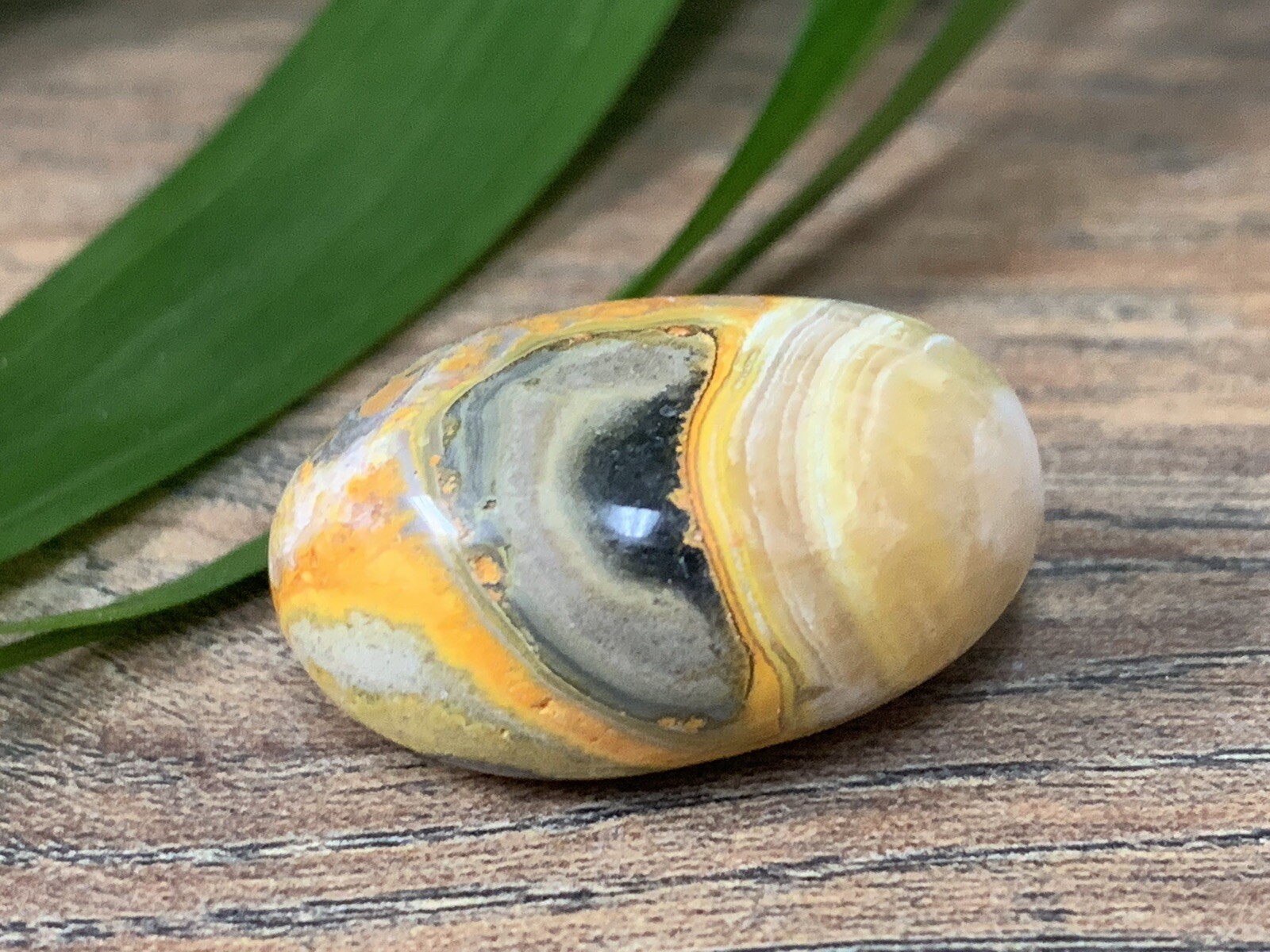 Bumble Bee Jasper Tumble Stone Gemstone Mineral Specimen Crystal Reiki Chakra.