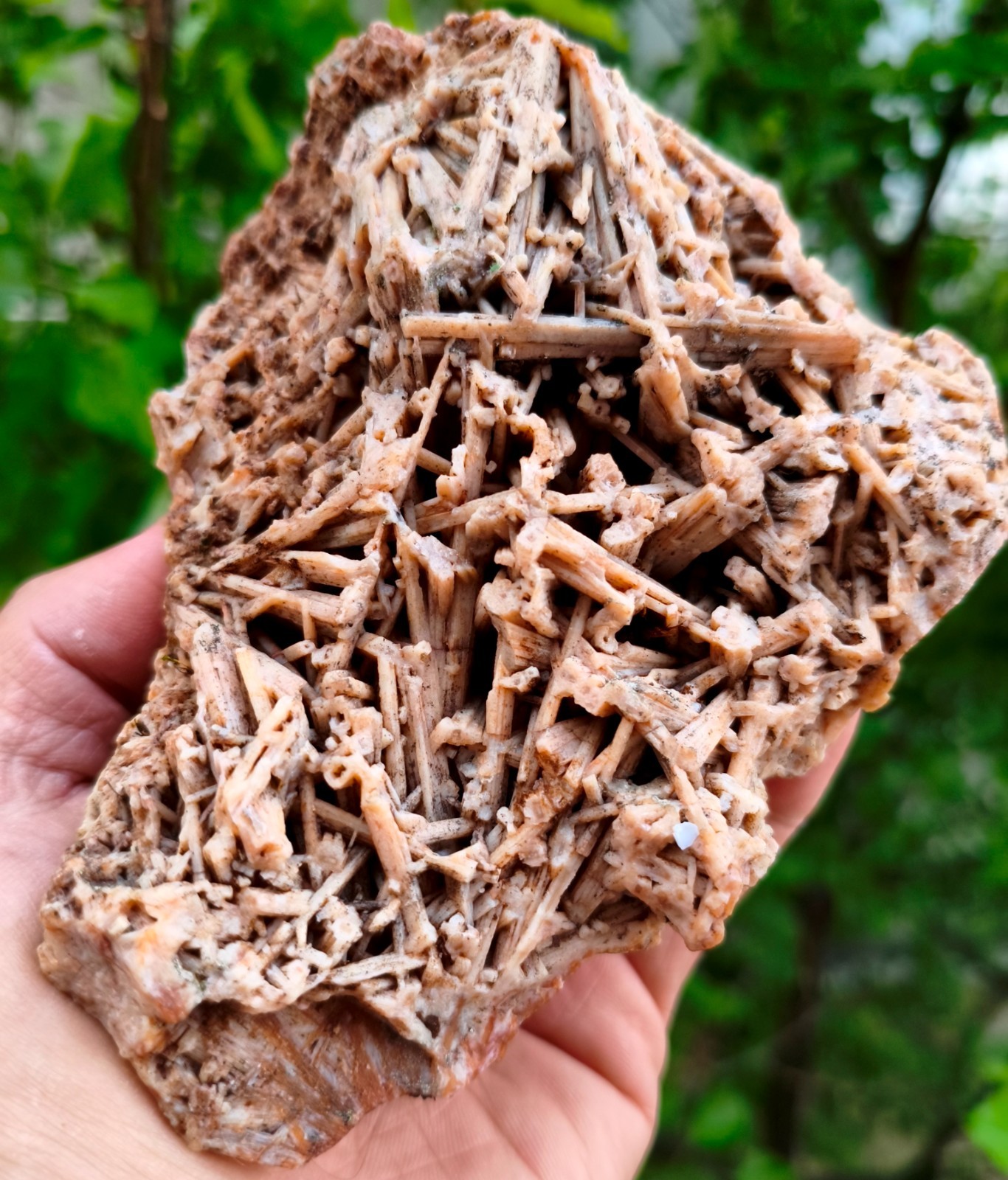 1 Lb 10.3 Oz Extremely Rare Agate Pseudomorph After Zeolite