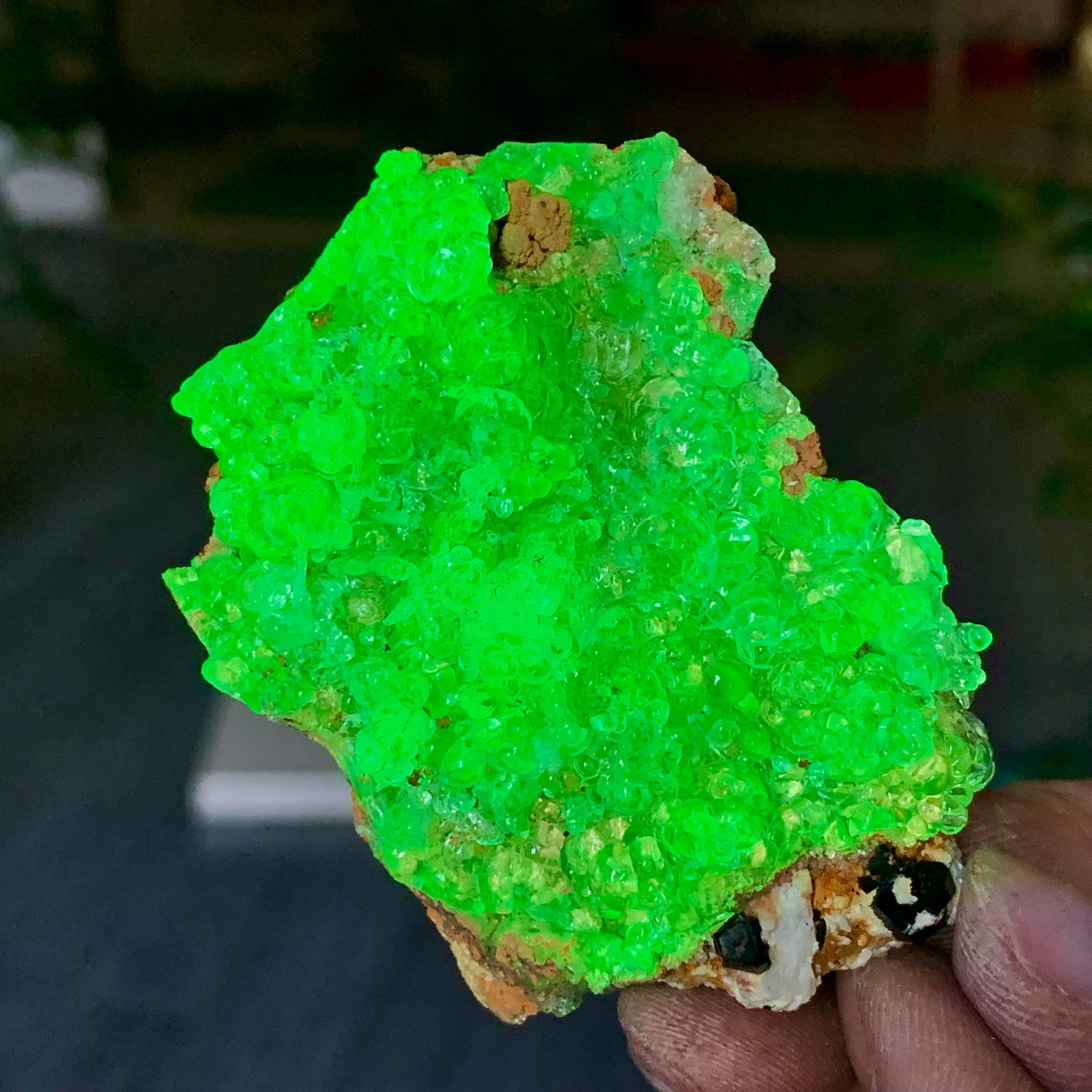 52G Natural hyalite opal quartz  fluorescent specimen /Namibia