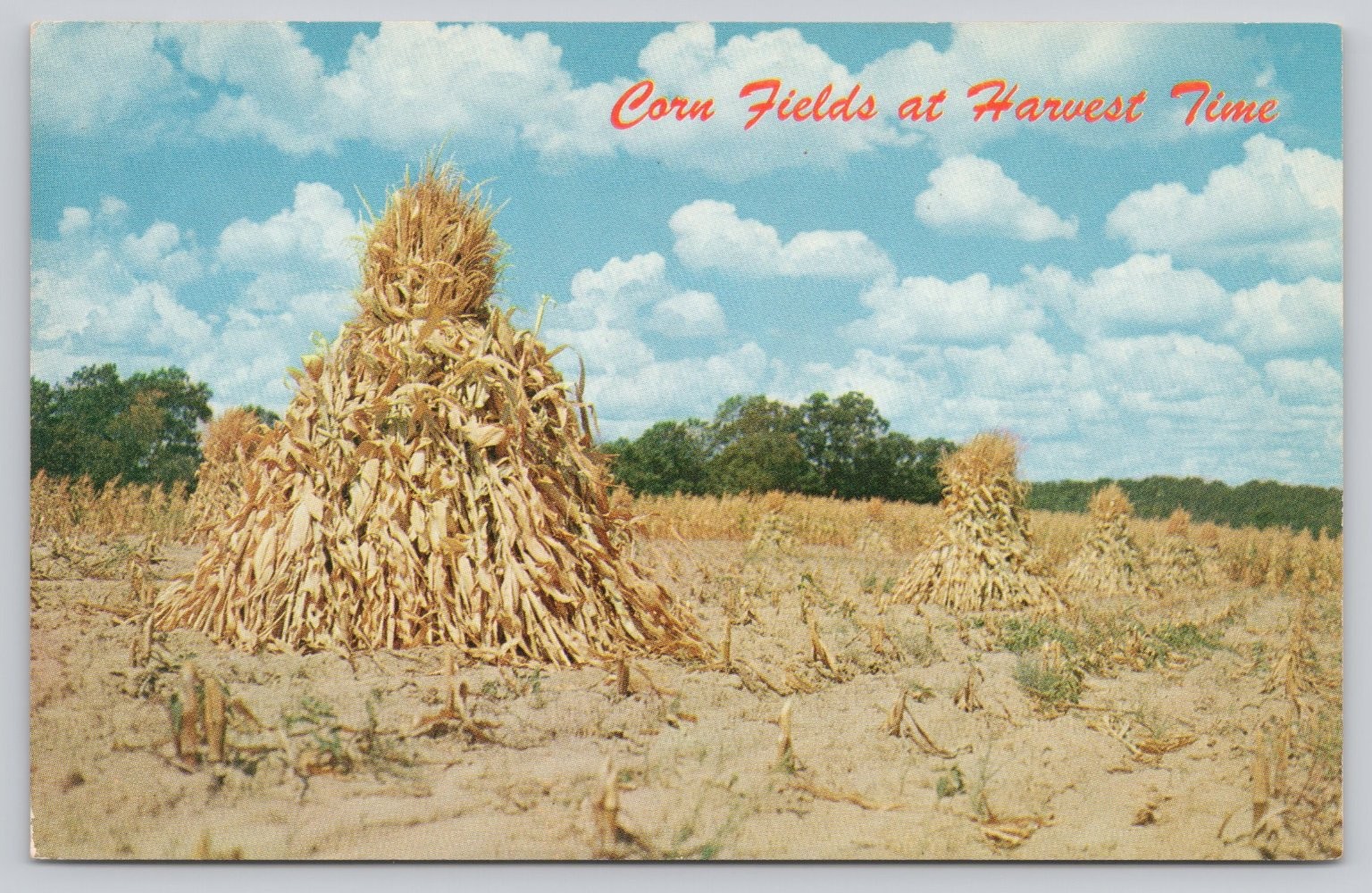 1981 Jesup Iowa Corn Fields Harvest Postcard Iran Hostage Crisis Note