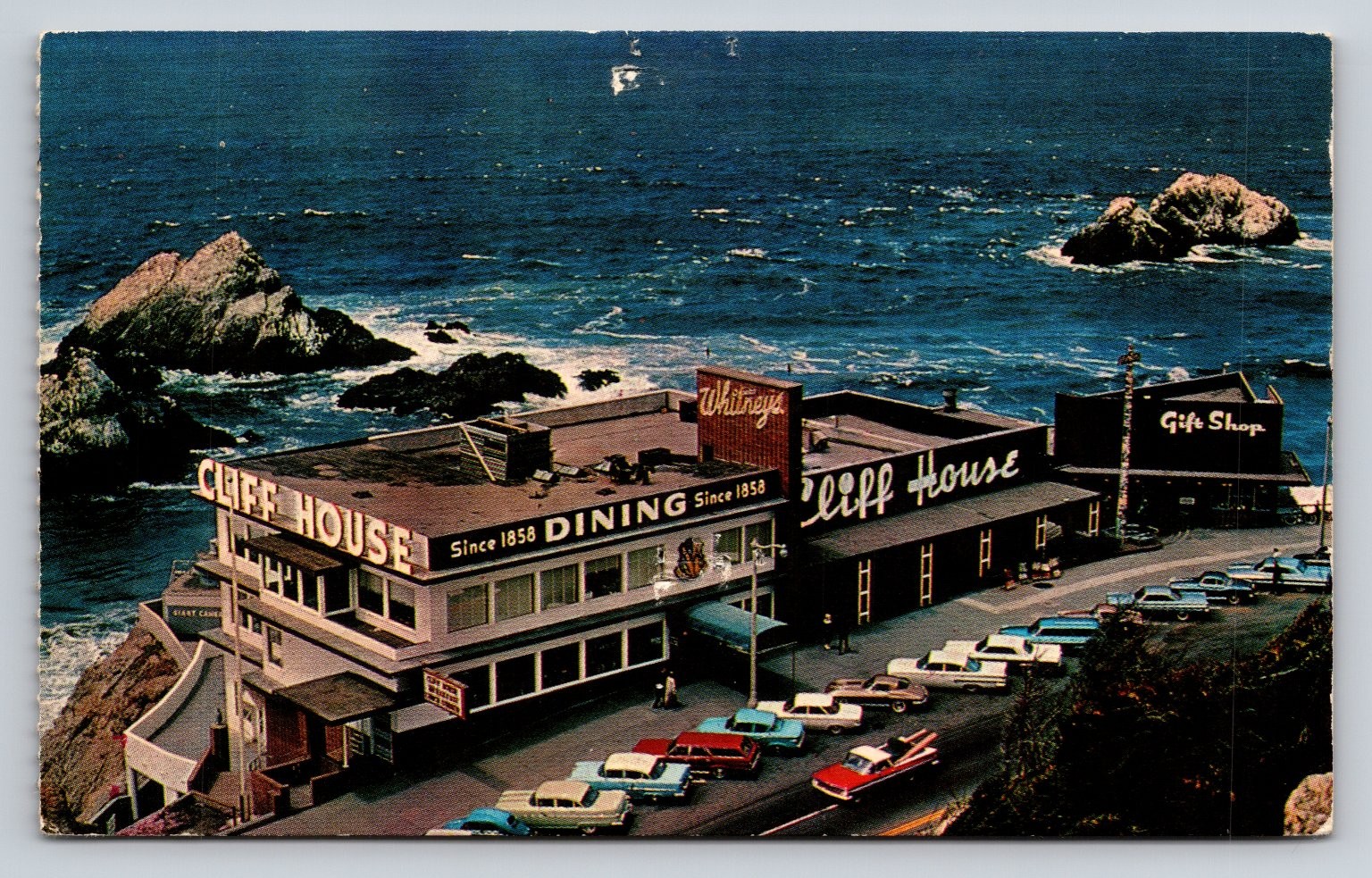 Vintage Cliff House San Francisco CA Postcard Whitney's Seal Rocks 1960s