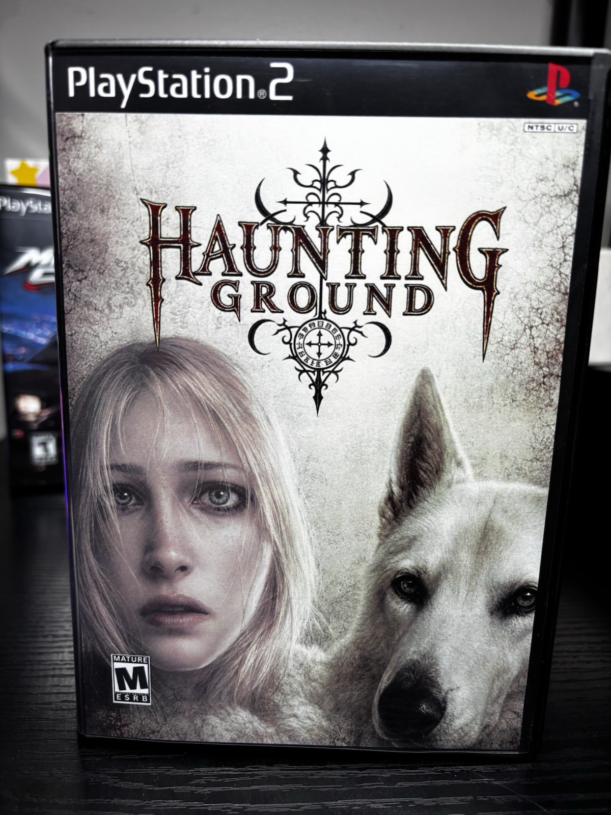 Haunting Ground PS2 Custom Replacement Case Cover Art Archive Edition No Game