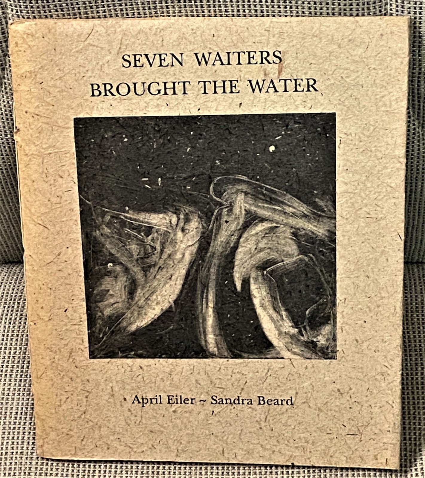 April Eiler / SEVEN WAITERS BROUGHT THE WATER Signed 1st Edition 1993