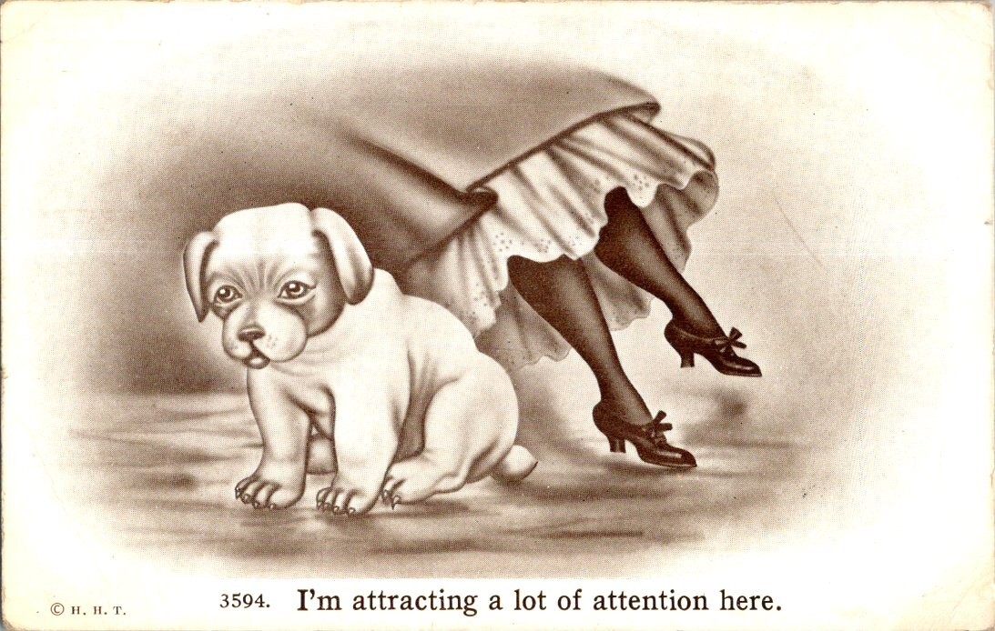 Vintage Postcard- H.H.T. - puppy- 3594. I\'m attracting a lot of attention here.