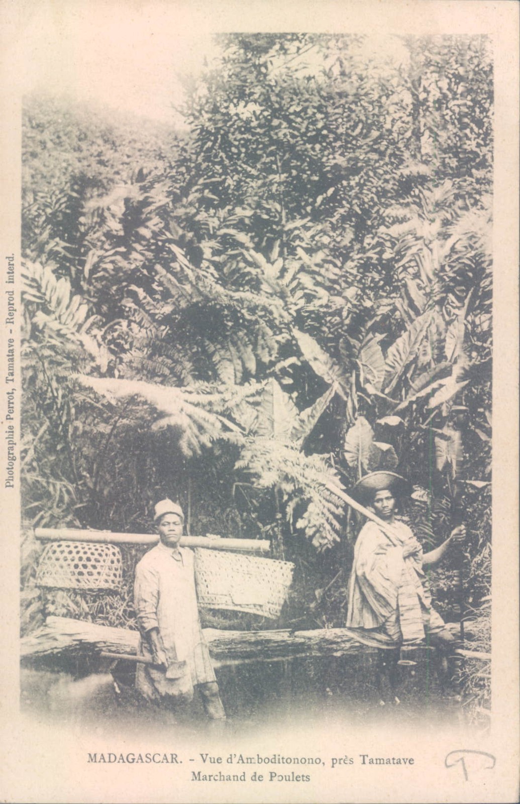 MADAGASCAR Amboditonono chicken seller 1900s litho PC
