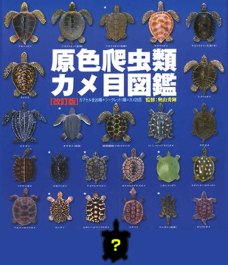 Yujin Color Reptile Turtle Encyclopedia Complete 25 Gashapon Capsule Toys 2002