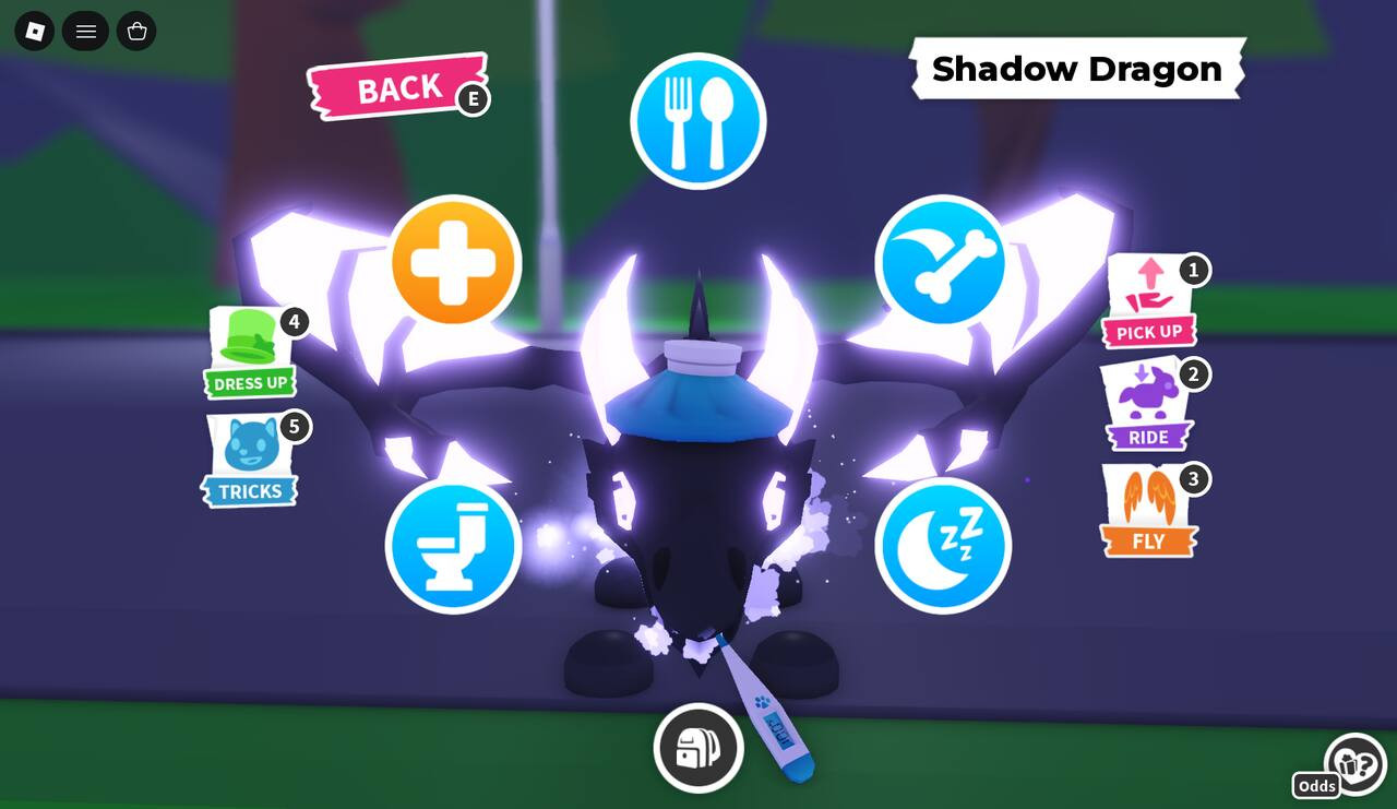 adopt me NFR Shadow Dragon