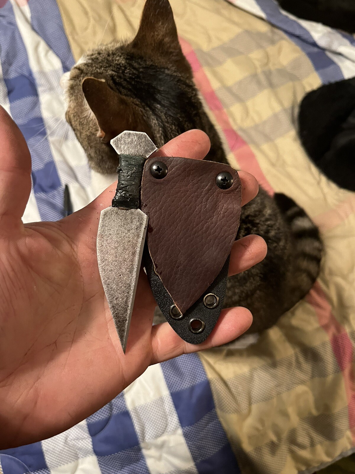Budget WW2 OSS Style Lapel Dagger