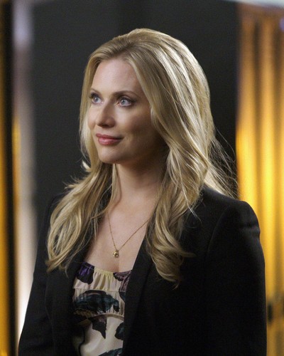 EMILY PROCTER CSI MIAMI STAR PRINTS AND POSTERS 287886