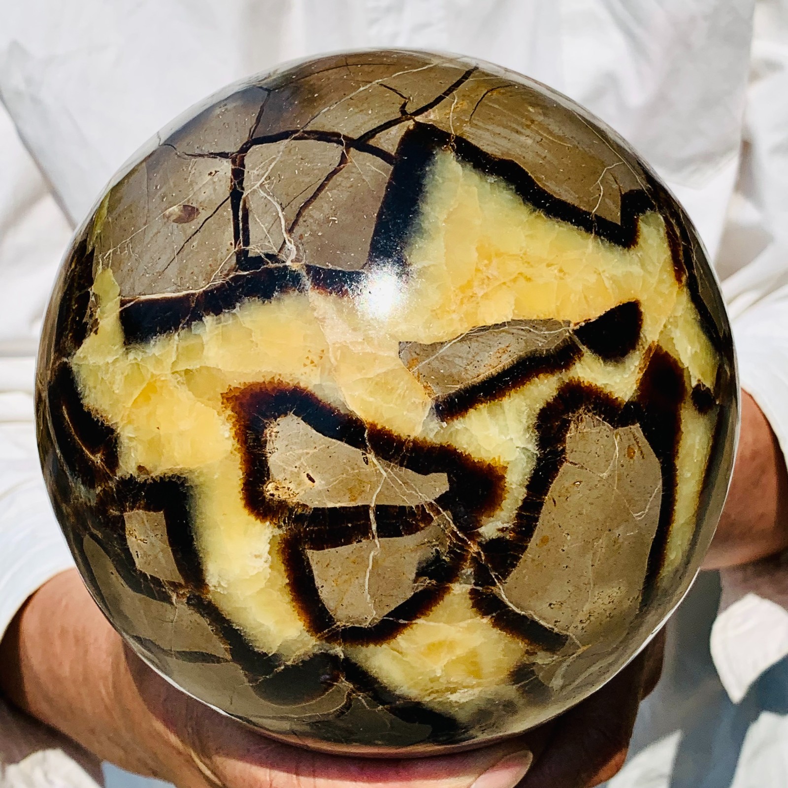 10.54LB Natural Turtle Back Stone Dragon Quartz Sphere Crystal Reiki Healing