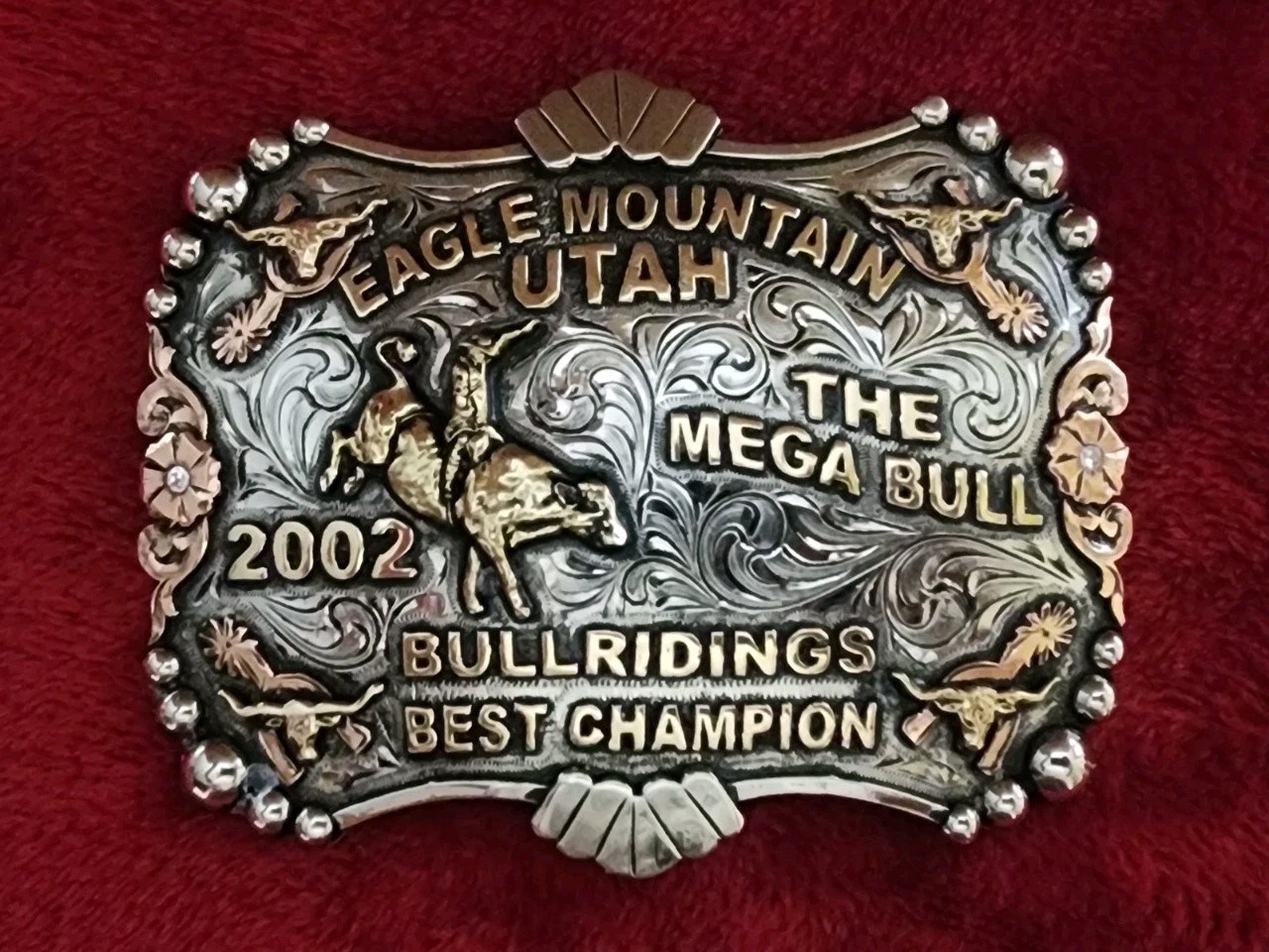 Rodeo MEGA BULL RIDING Champion☆2002☆Eagle Mountain Ut☆Trophy Buckle☆Rare☆R64