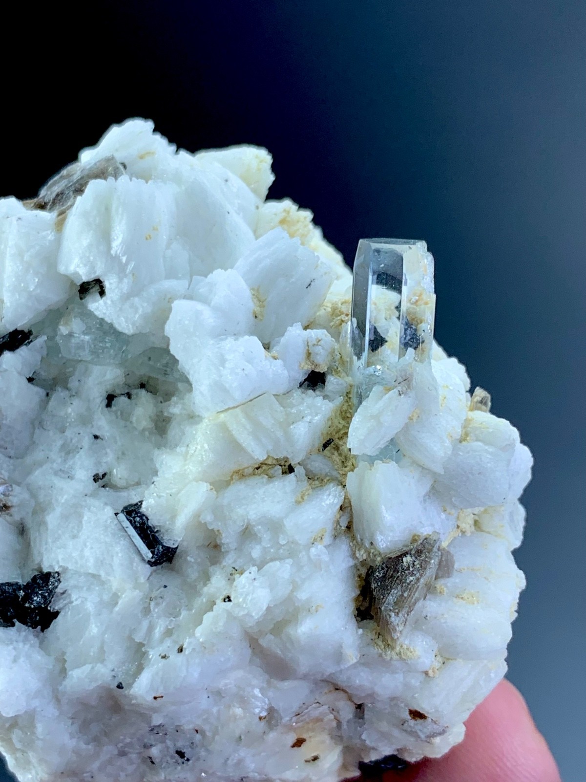 Aquamarine Crystal Specimen From Pakistan 555 Carat
