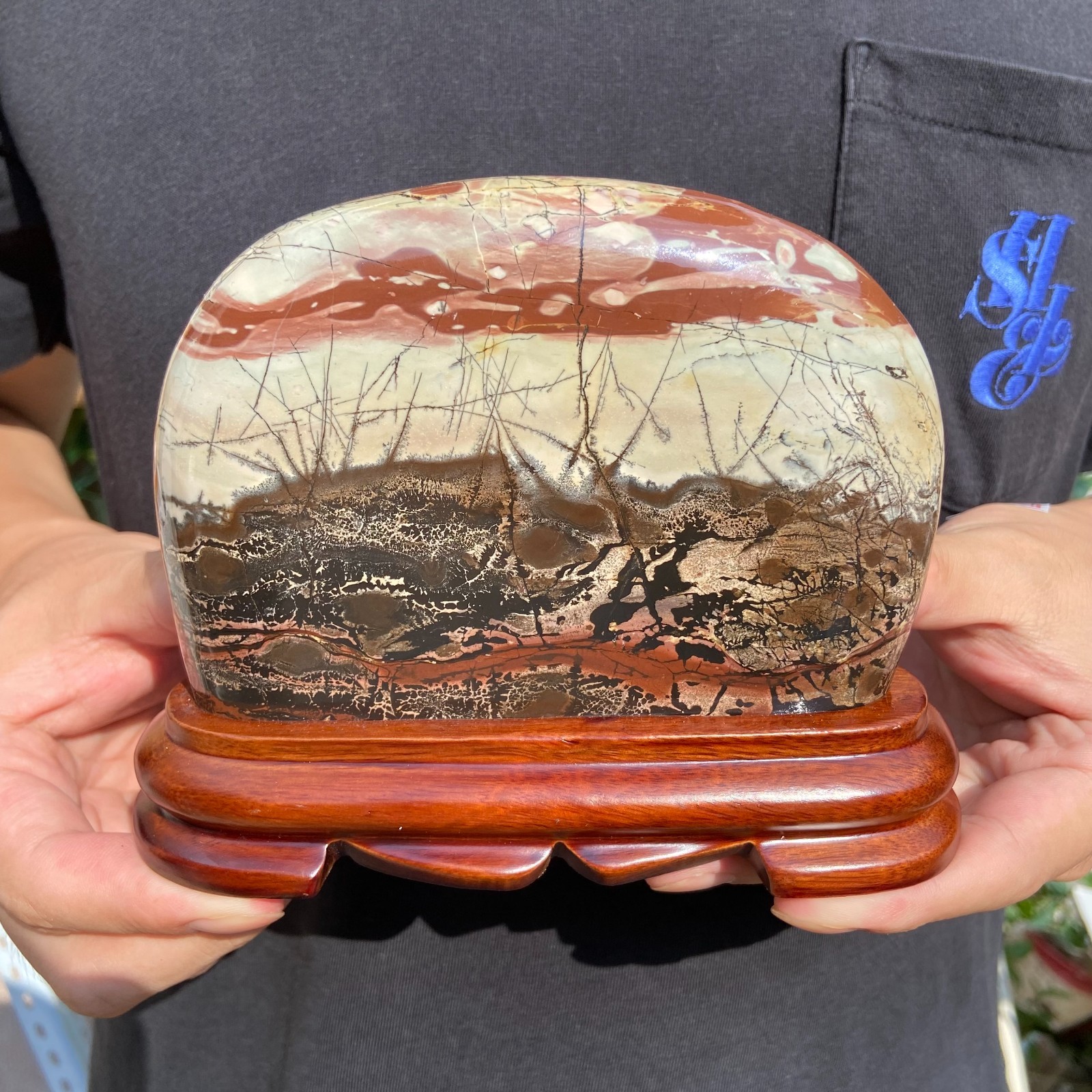 2lb Rare Natural Dendritic Limestone Chinese painting stone mineral specimen