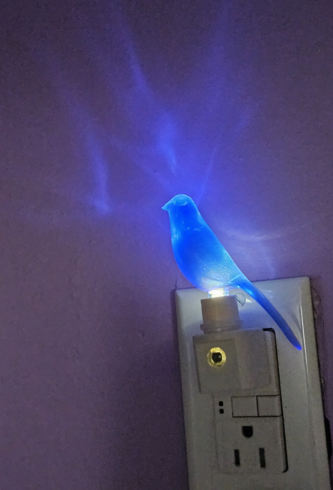 THEY MIGHT BE GIANTS TMBG Band Blue Canary Light Switch Nite Lite NEW NIB RARE🐦