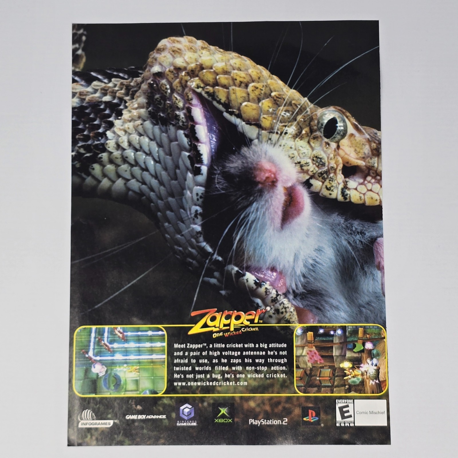 Zapper One Wicked Cricket Xbox PlayStation 2 PS2 Little Print Ad/Poster