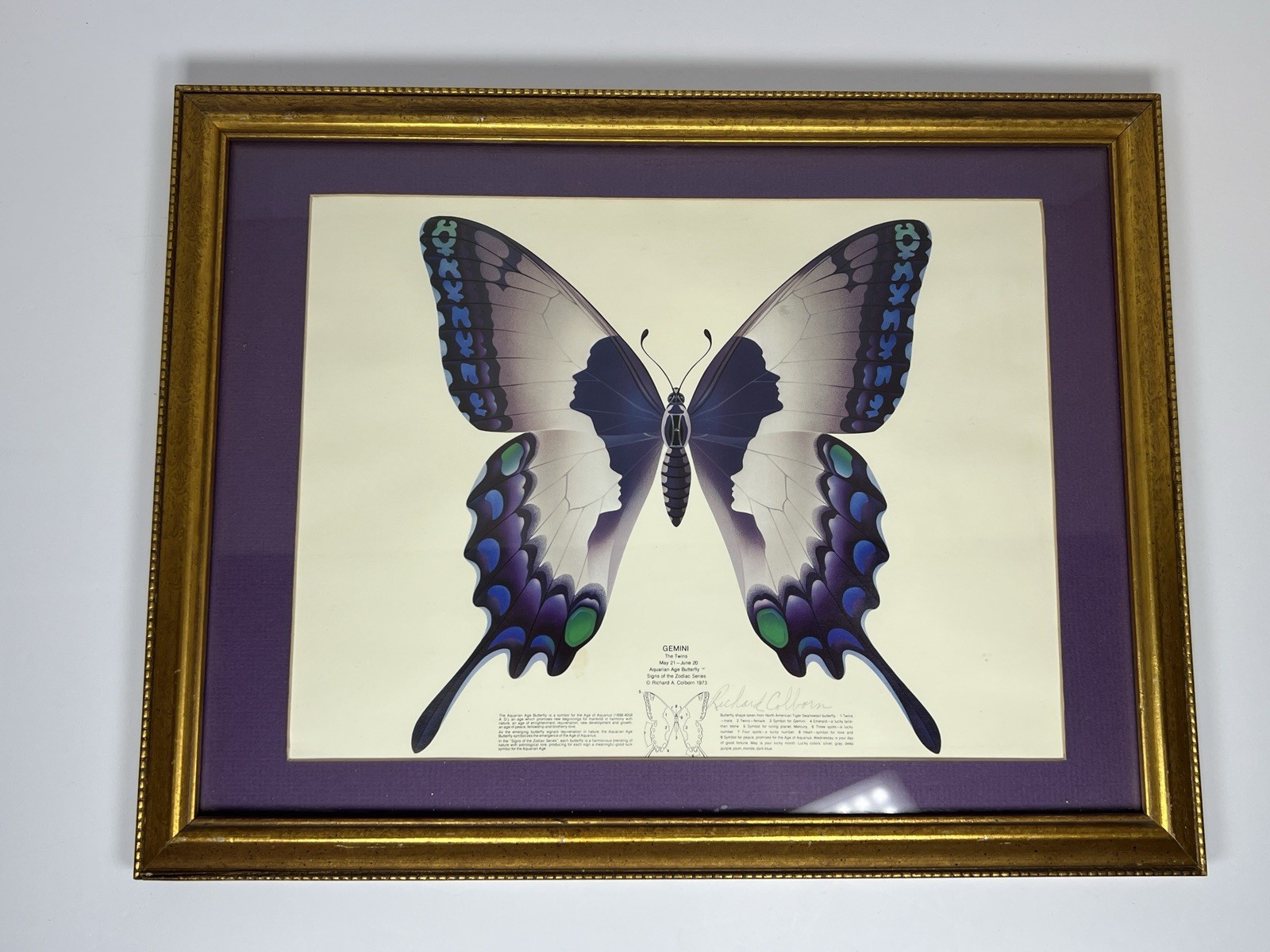 Vintage 1973 Richard A. Colborn Gemini Butterfly Astrology Print Framed SIGNED