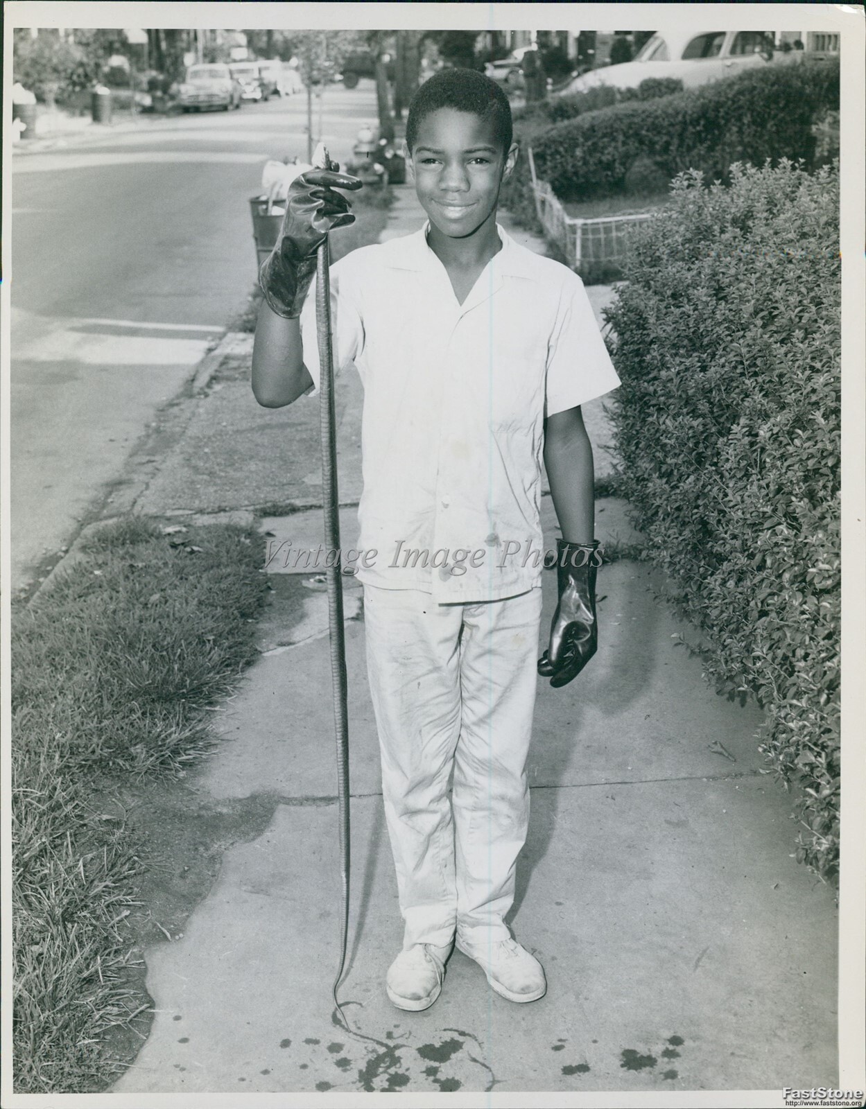 1969 Alfred Janes Jr Cleveland Press Teen Holding Long Snake Vintage Photo 7x9