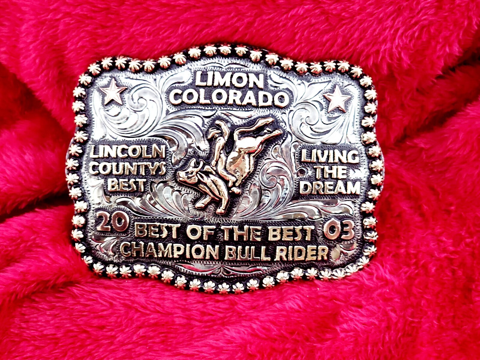 Rodeo Trophy Championship Buckle☆Bull Riding☆Limon Colorado☆2003☆RARE☆140