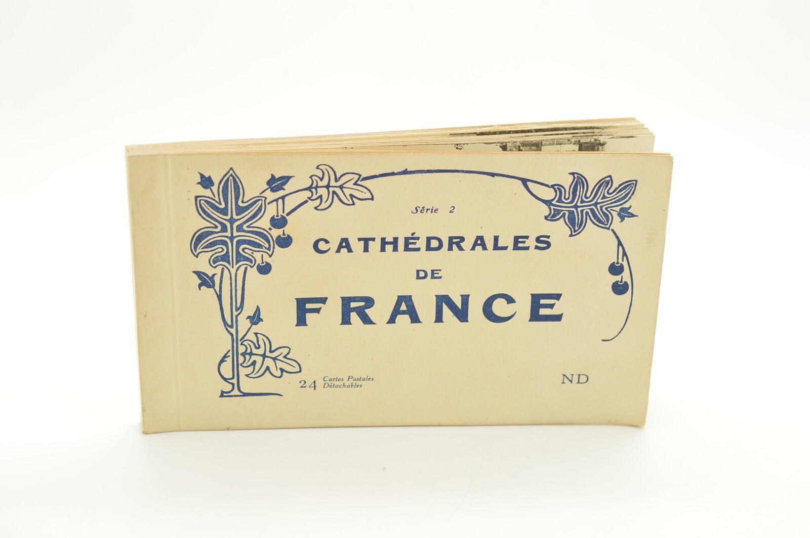 CPA carnet de 24  LES CATHÉDRALES DE FRANCE Postcard Notecards Notebook Photos