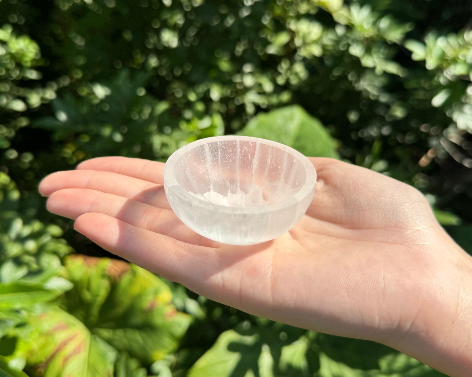 Selenite Crystal Charging Bowls - Choose Size & Shape (Polished Selenite Bowl)