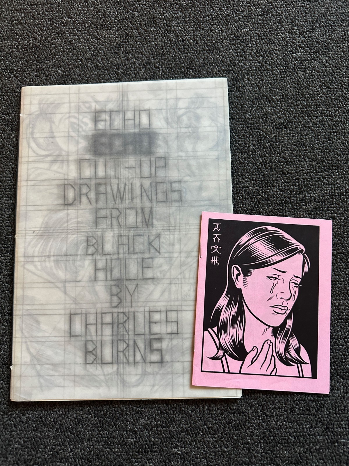 Charles Burns Echo Echo Black Hole Signed Numbered 333/400 Pigeon Press 2012