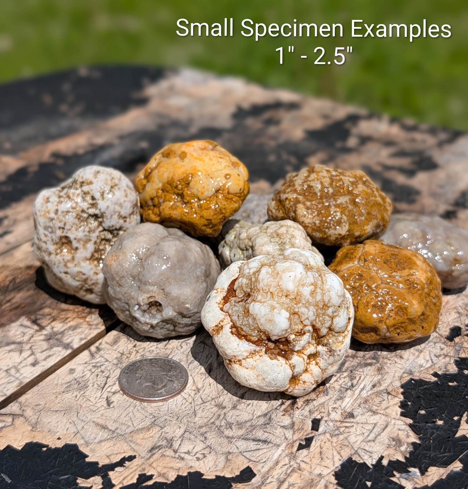 5 lbs Unopened Mixed Geodes - Whole Agate Nodules - Break Your Own - STEM Kit