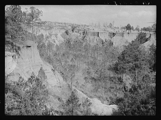 Photo:Chilton County Alabama 1937 Erosion Gullies Landscape FSA