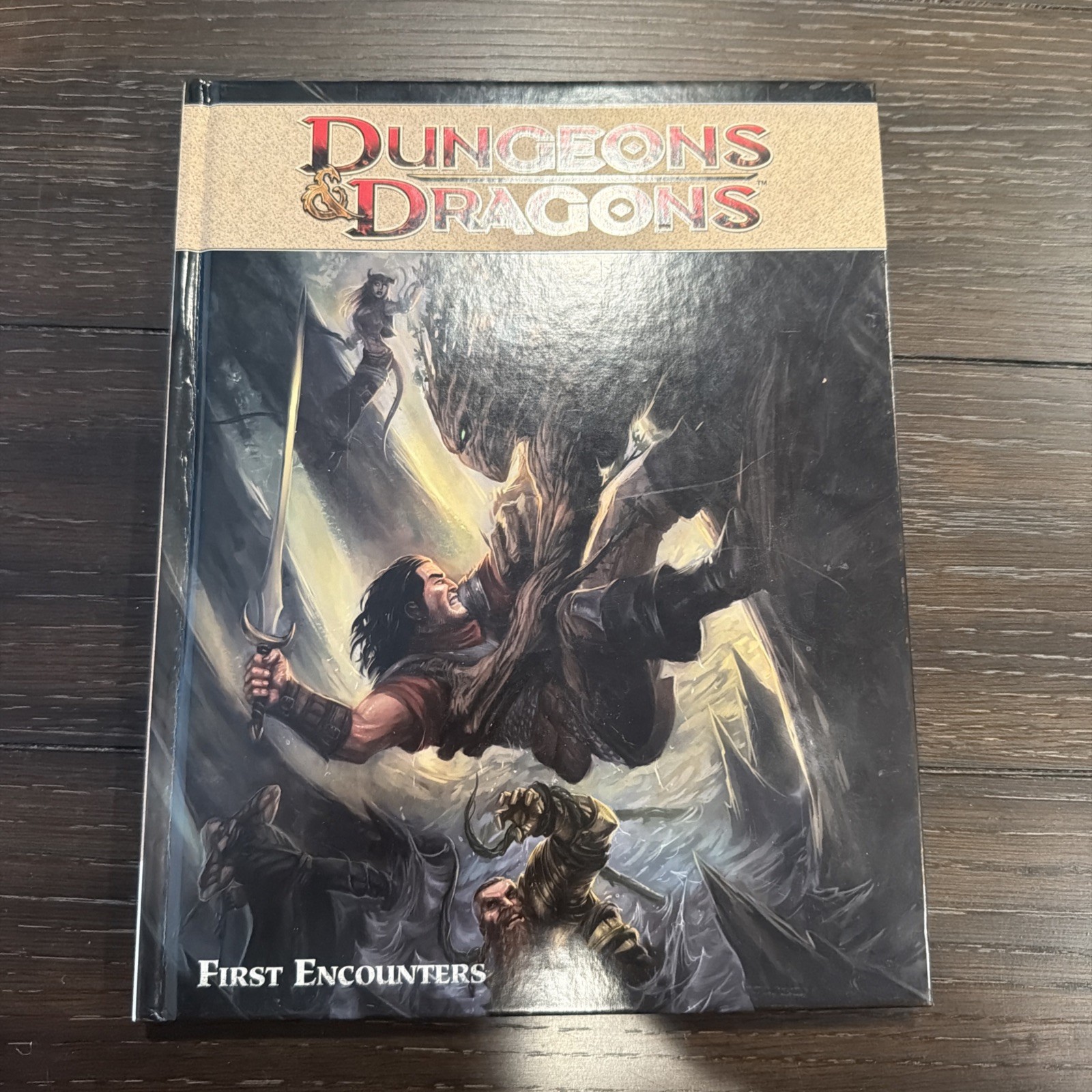 Dungeons & Dragons First Encounters Vol 2 Graphic Novel HC IDW 2011