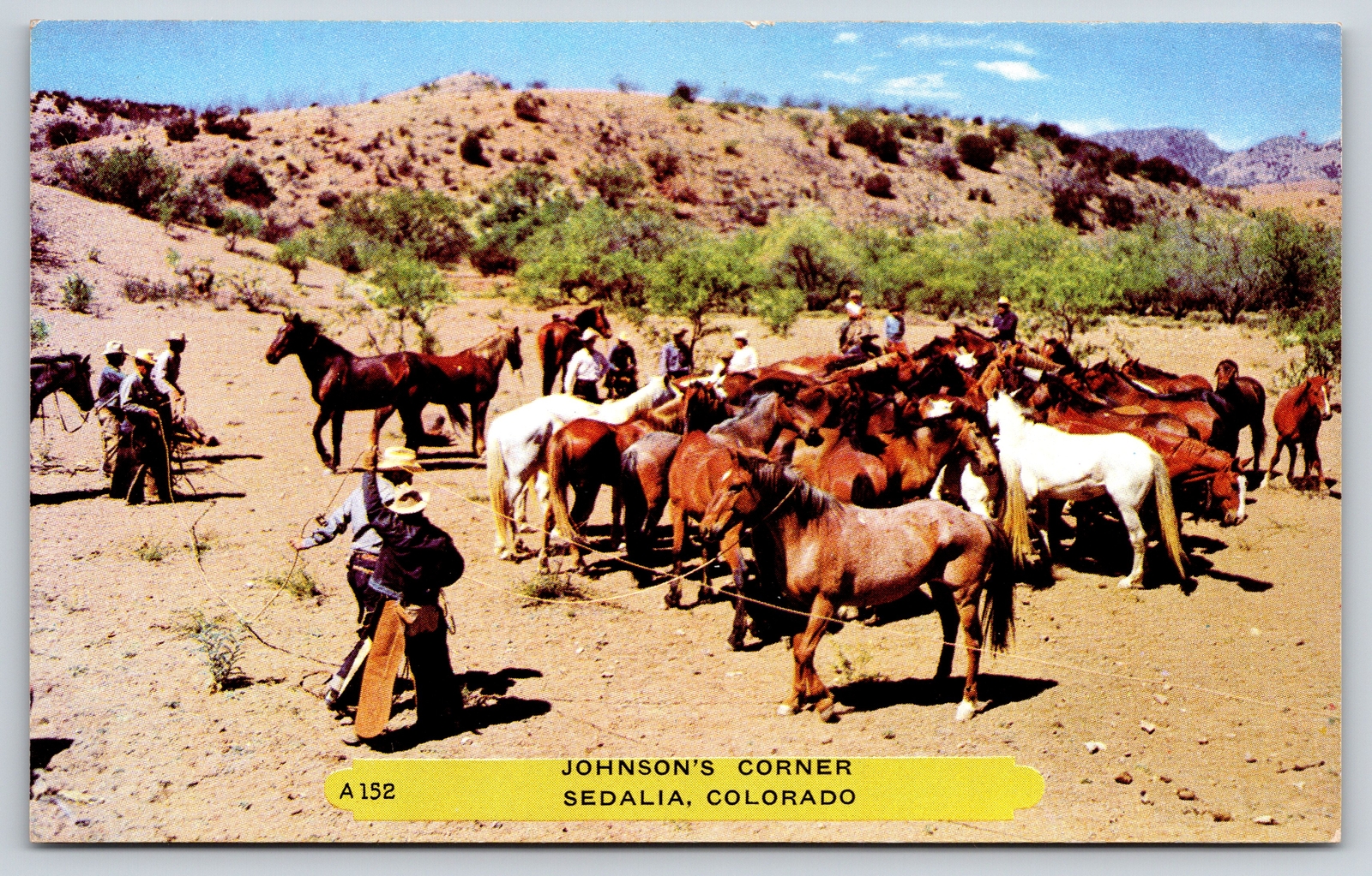 Sedalia Cowboys~Phyllis Bonnie Sylvia Lois Rosie Flossie Letha @ Johnsons Corner