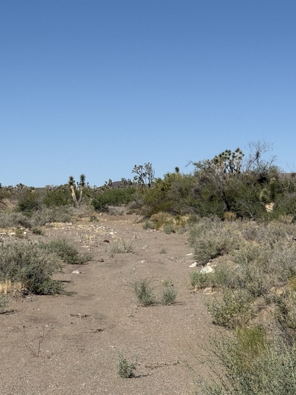 Placer Gold Mine On 10 acres Of Private Land Real Estate Off Grid Acreage
