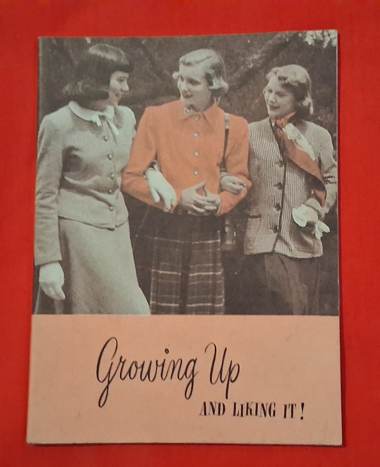 Vintage 1951 Modess Growing Up and Liking it booklet