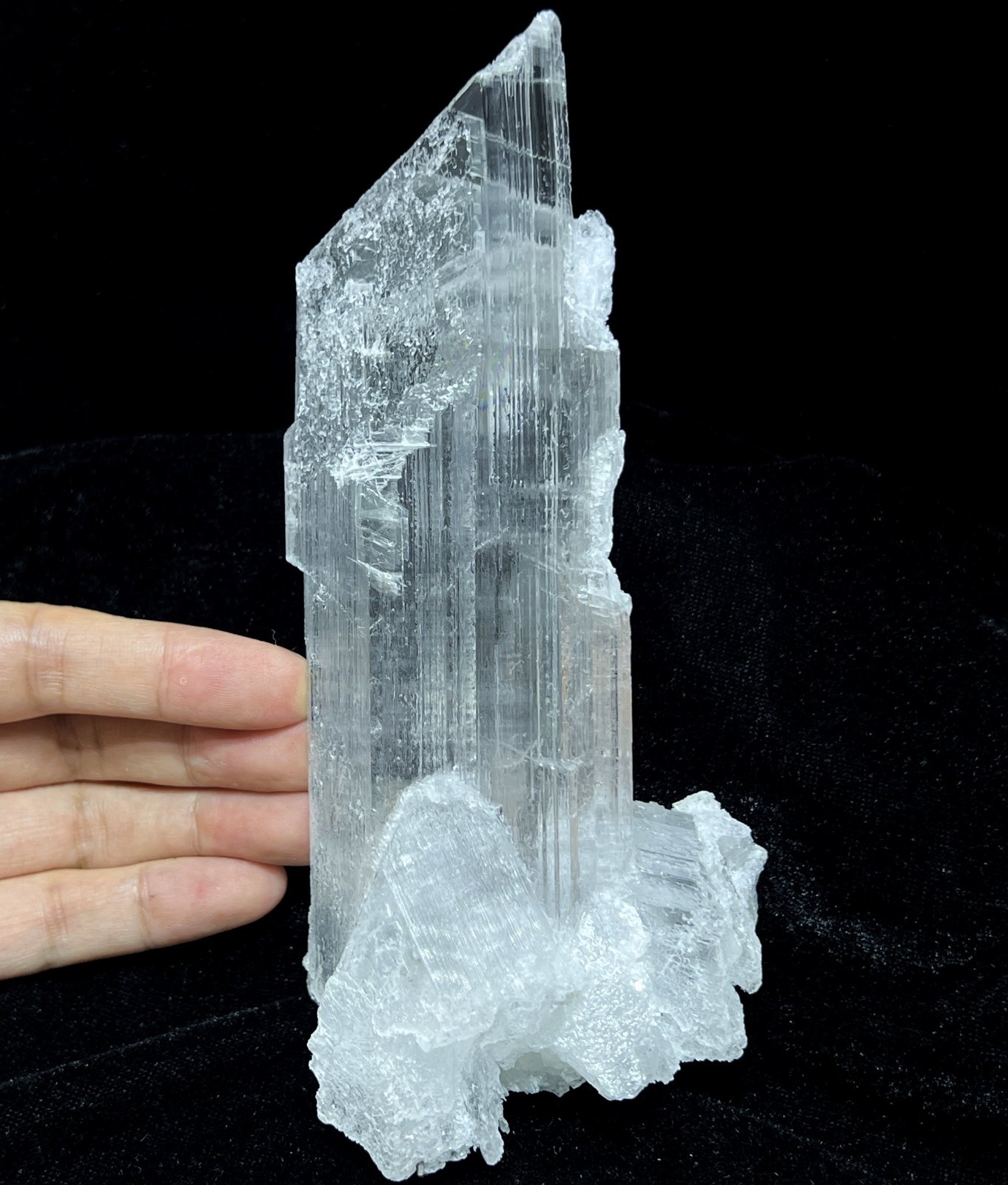 Rare FLUORESCENT - 165mm 480g POWERFUL clear Selenite, Natural Mineral Specimen