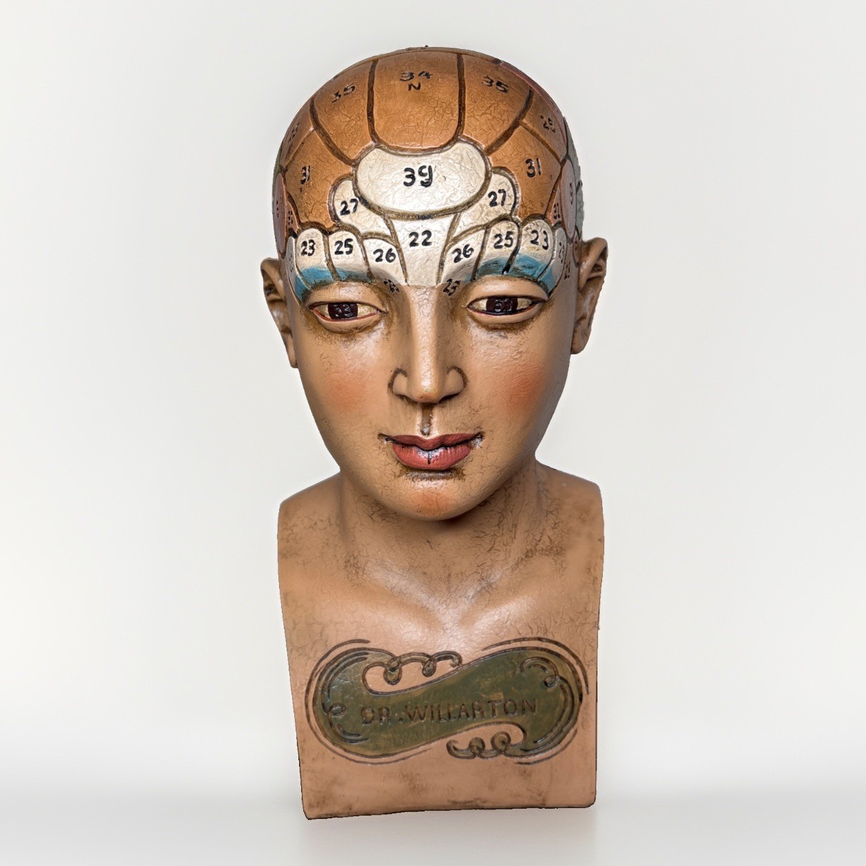 VINTAGE DR. WILLARTON PHRENOLOGY HEAD BUST Antique Rare
