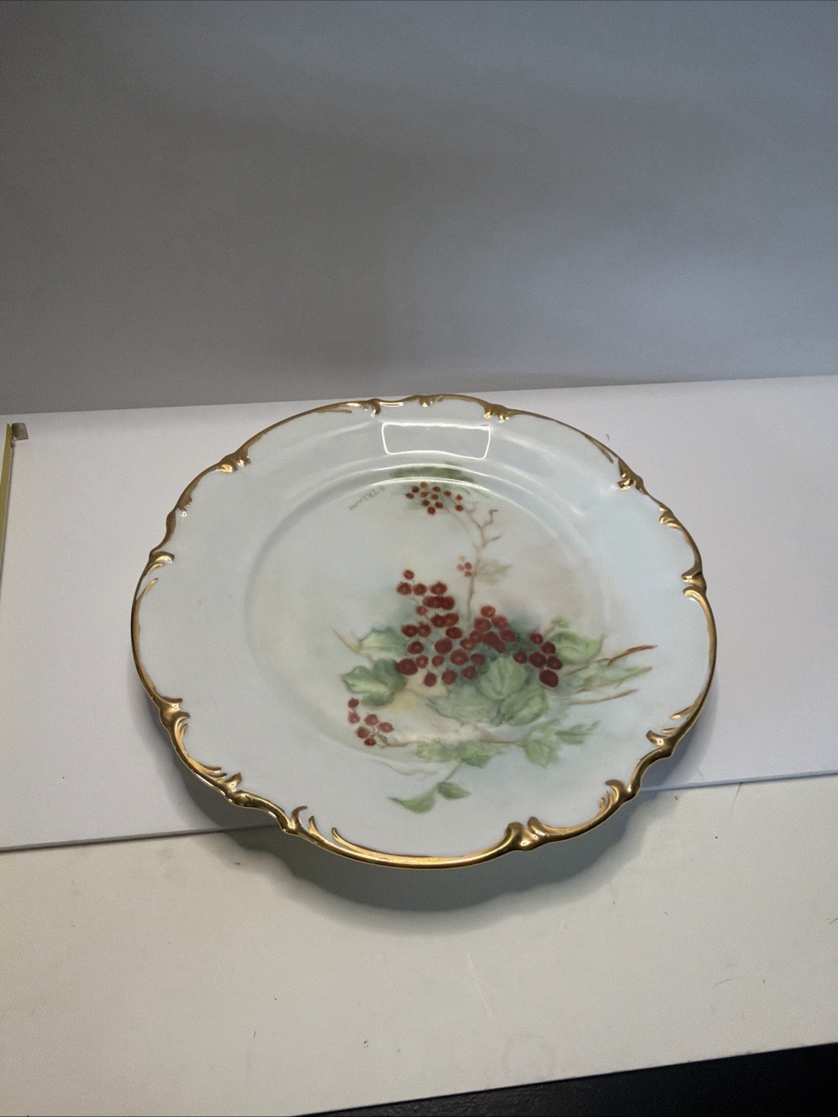 Vintage Sylvia Hutschenreuther, hand painted plate,  Bavaria Germany