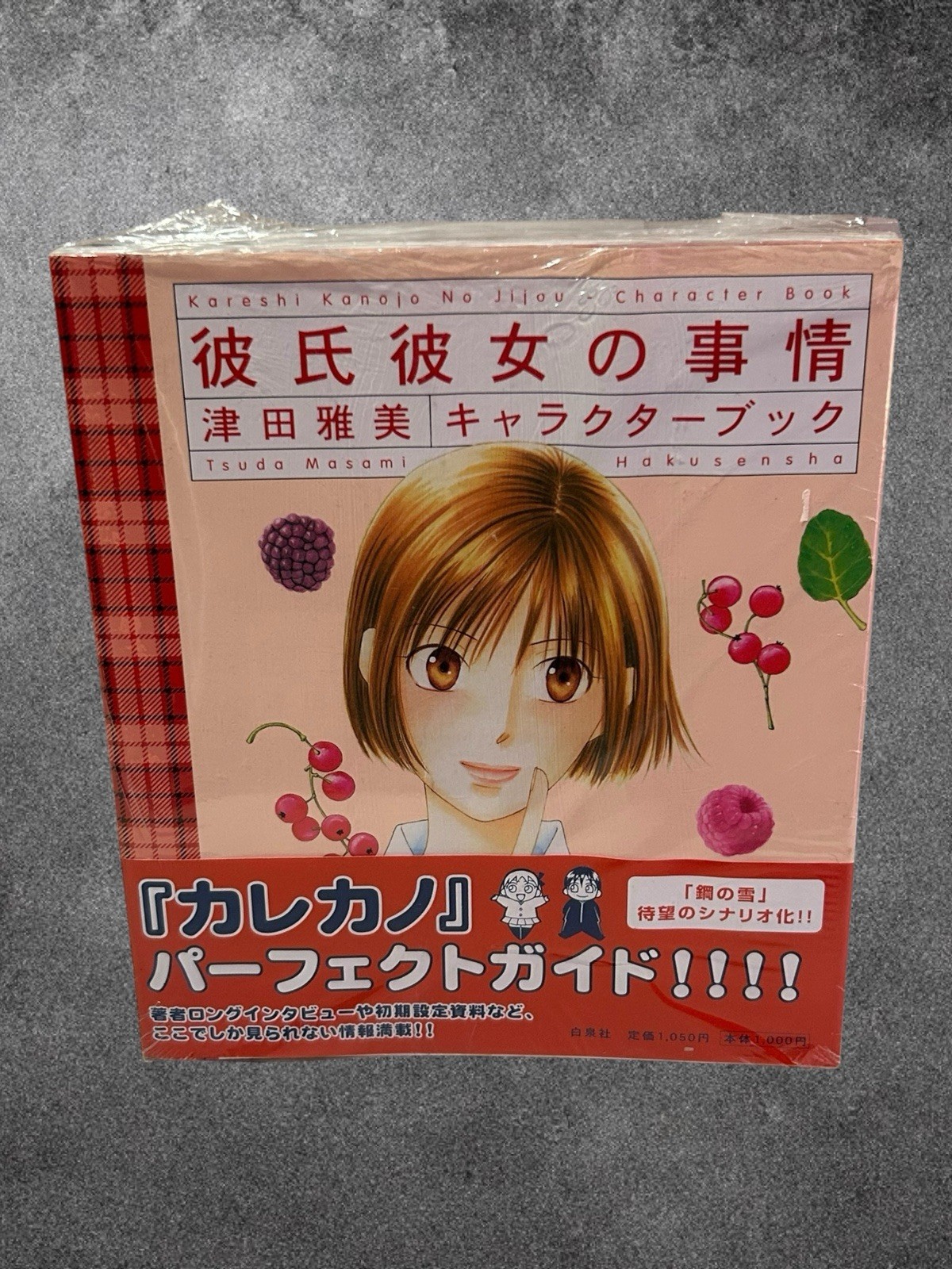 SHOHAN OOP: Kare Kano / Kareshi Kanojo no Jijou Character Book by Masami Tsuda