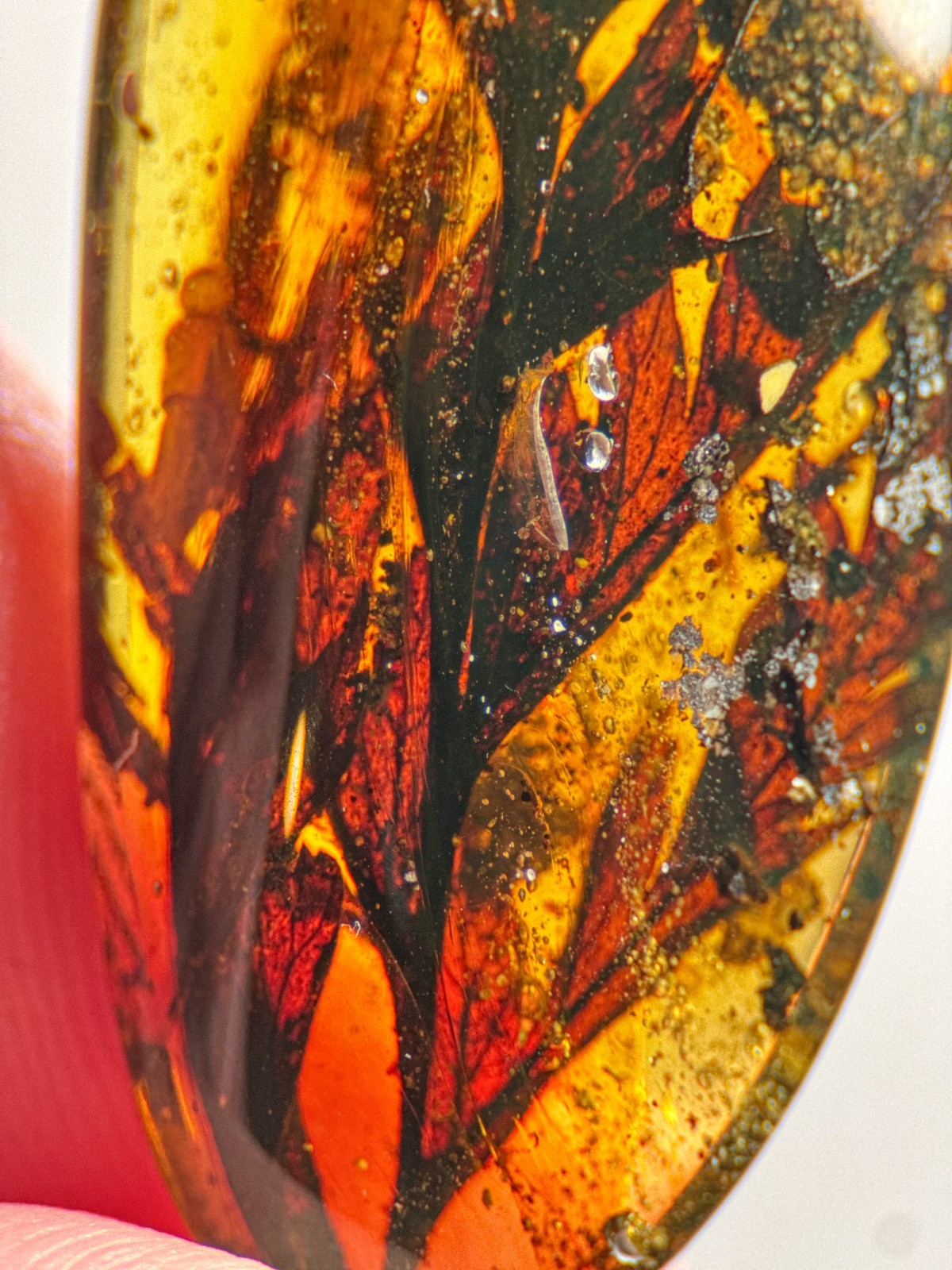 STUNNING LEAVES inclusion in Burmese / Burmite amber fossil / 100% genuine amber