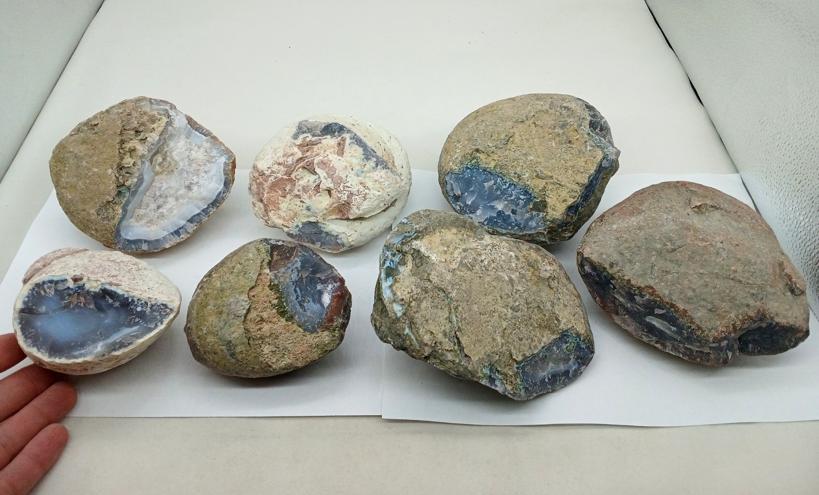 15 Pound Group of Seven Uncut Rough Brazilian Agate Geodes or Nodules, 3-5.50
