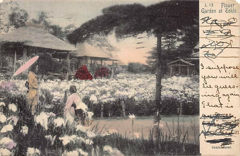 Postcard JAPAN: Lady Walking in Park, Tokyo,  Posted 1906, Hand-colored Photo