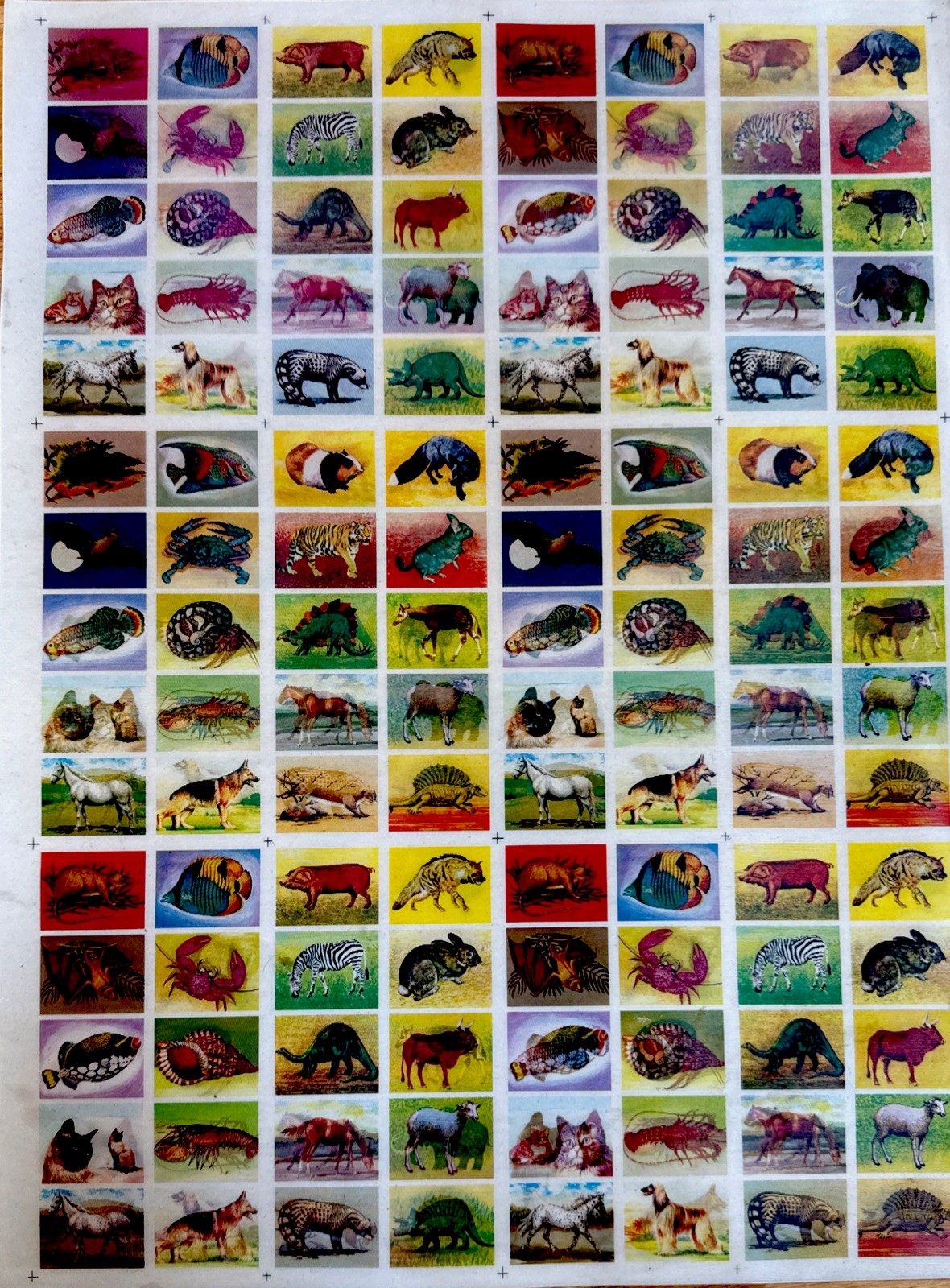 Vtg Vari Vue Lenticular soft vinyl moving motion Multiple Species RARE 15x20”