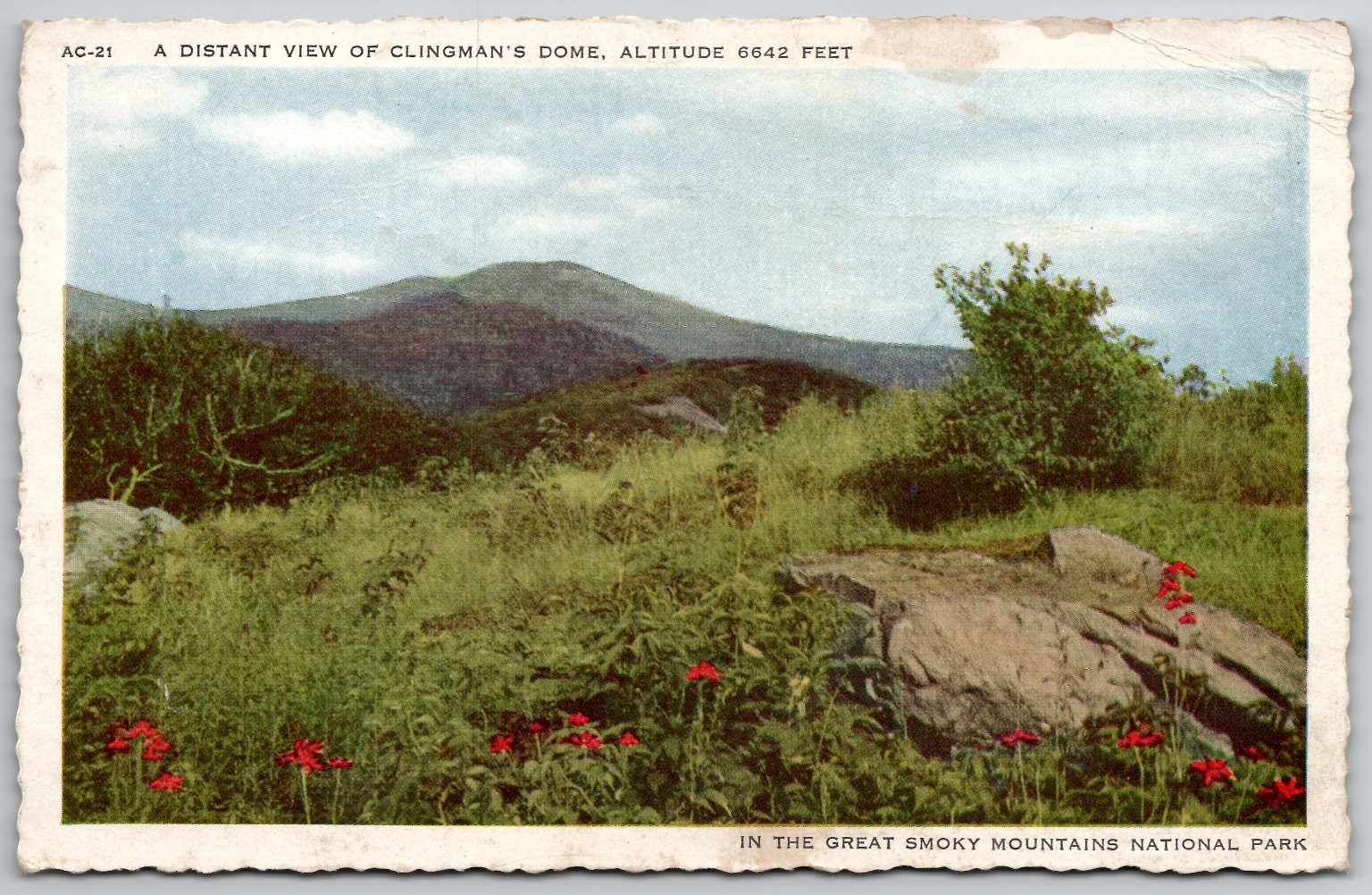 Clingman\'s Dome Great Smoky Mountains NC Linen Postcard Vintage AC-21