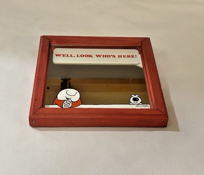 VTG 1978 ZIGGY Tom Wilson Illustrated Novelty Mirror Wall Hanging 6