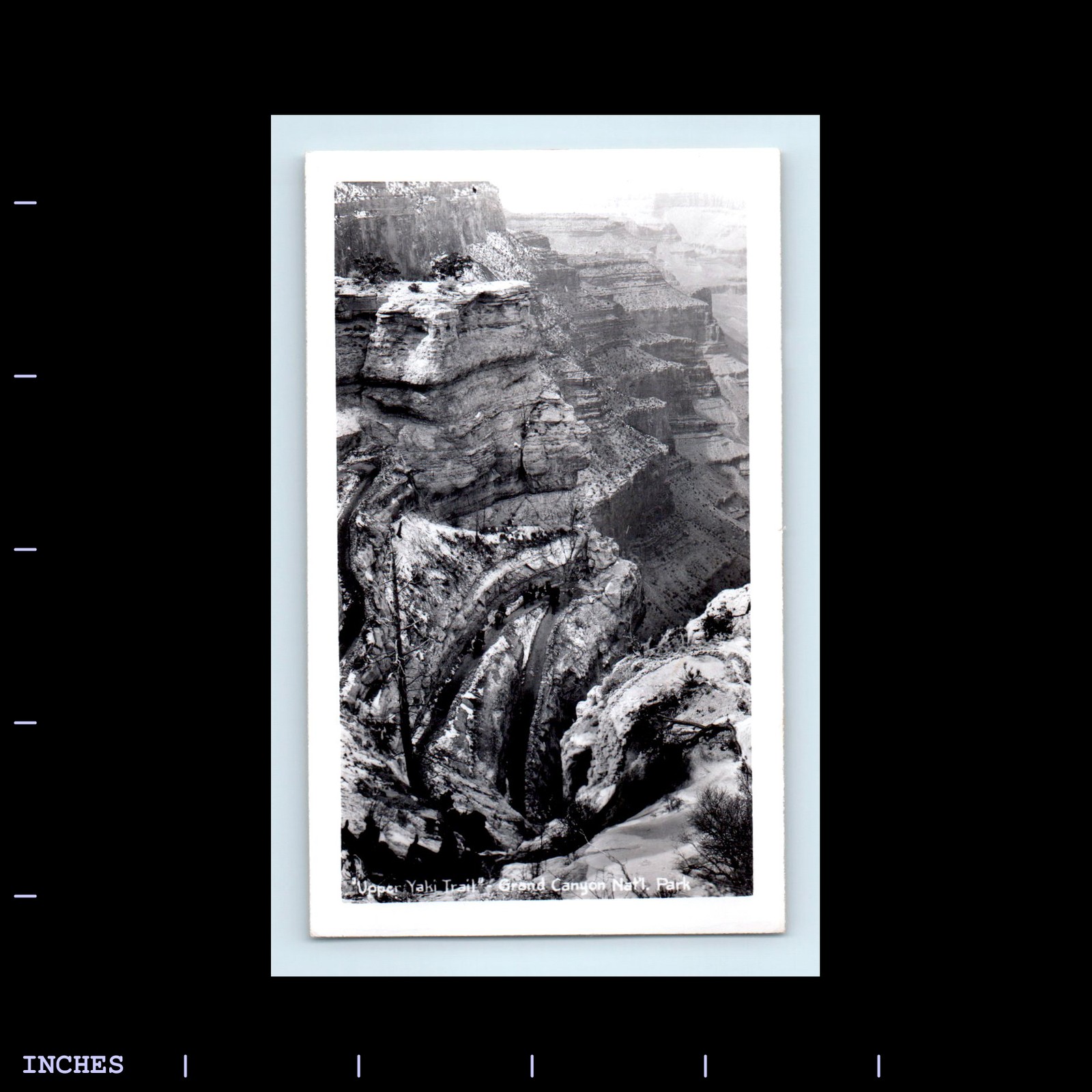 Old Vintage Photo GRAND CANYON TRAIL LANDSCAPE SOUVENIR PRINT