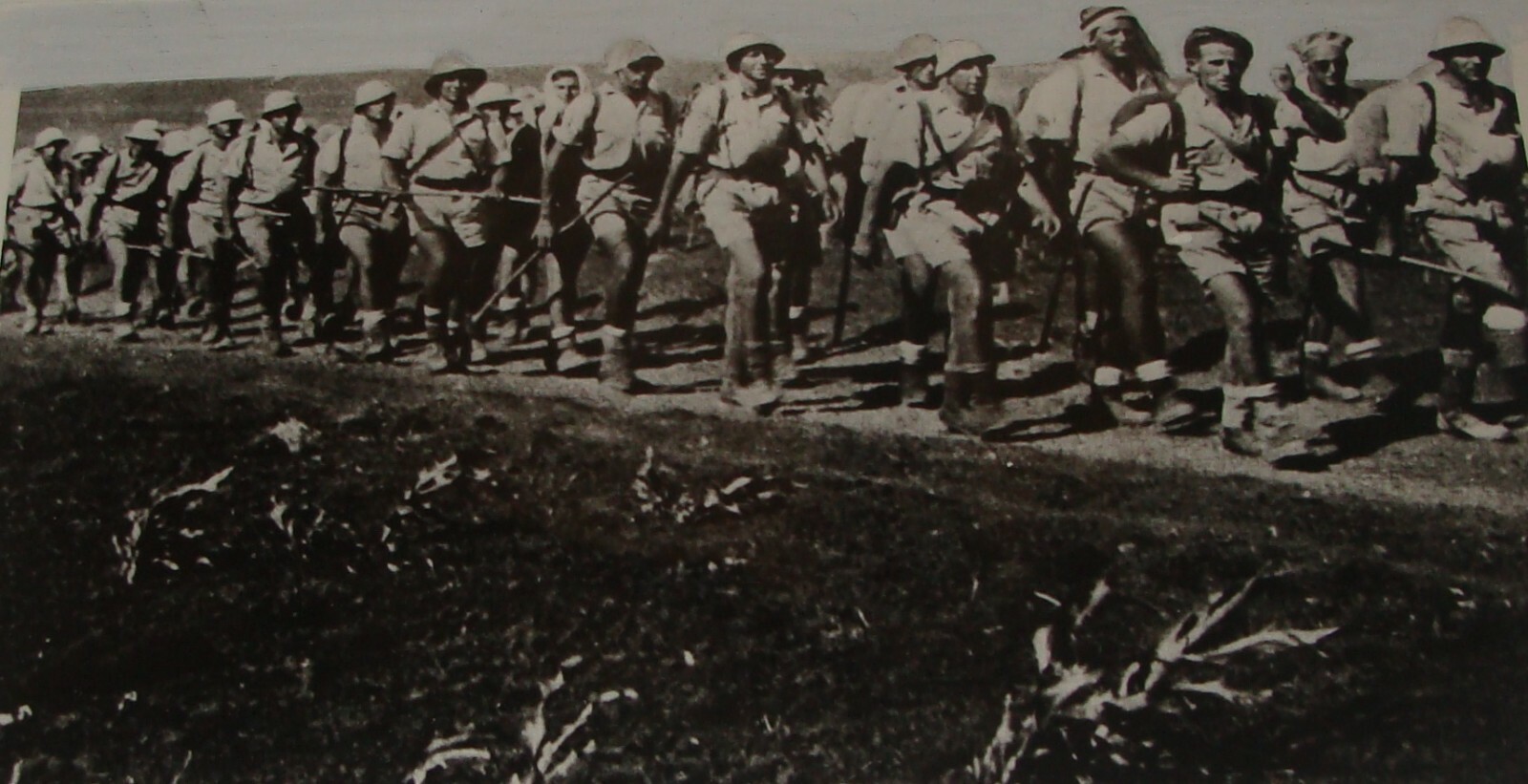 Pol Photo Print Palestine Israel Army , 1942 PALMACH German Division WW2 Haganah