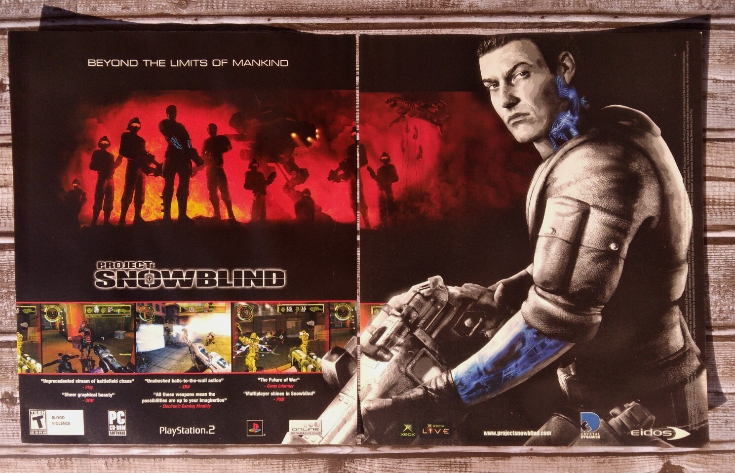 Project Snowblind PS2 Xbox 2005 Print Ad/Poster Official Video Game Room Pop Art