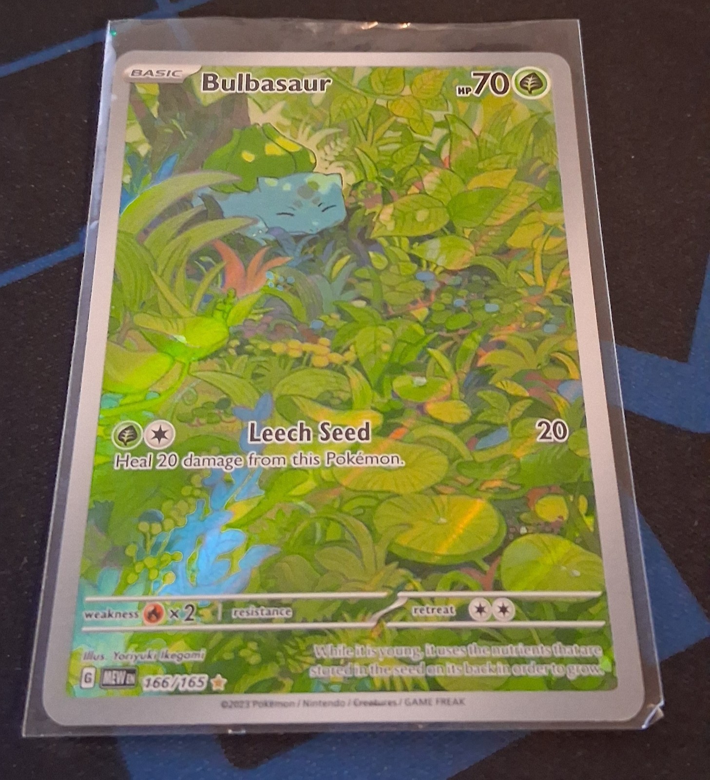 Bulbasaur 166/165 NM Pokemon English TC