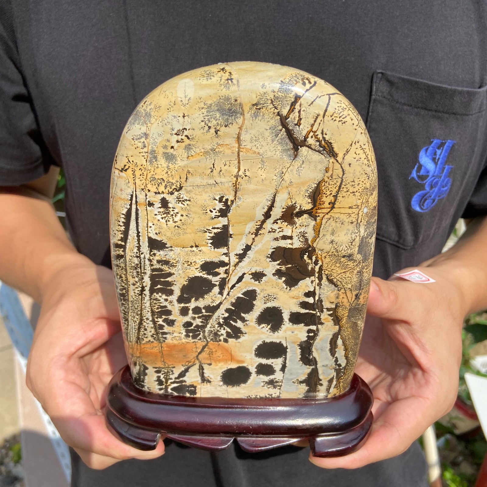 3lb Rare Natural Dendritic Limestone Chinese painting stone mineral specimen