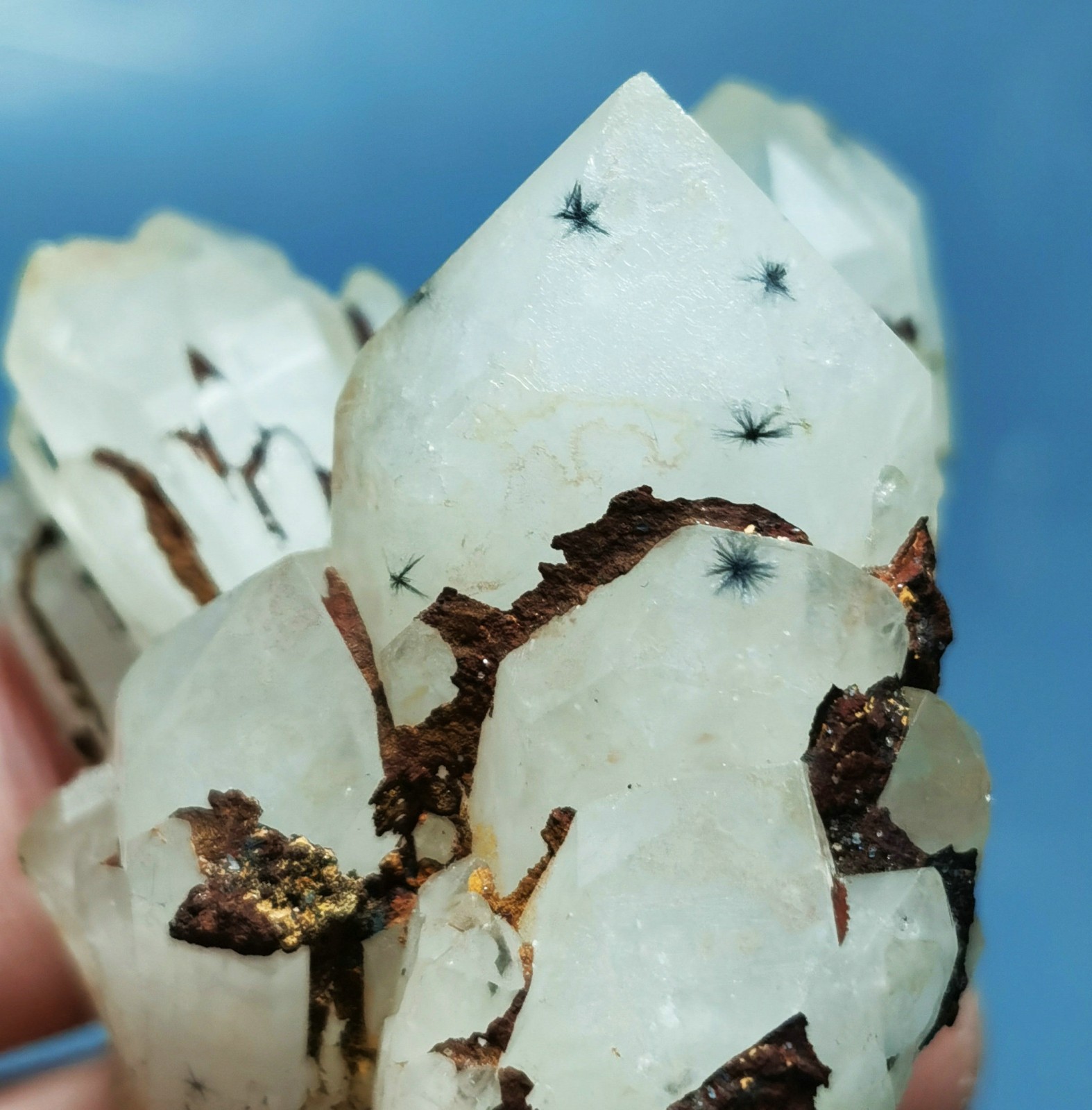 RARE Natural Hollandite Star Quartz CRYSTAL Point